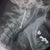 Jungsik Yoo's profile image