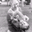 Ashley Whitham's profile image