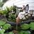 Sherry Paulino's profile image