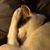 Nancy Kay Glenn's profile image