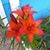 Heather Shanahan Bortz's profile image