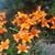 Pam Bixler's profile image