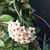 Heidi Keitz's profile image