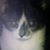 Ken Strejc's profile image