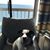 Bess Lockhart Dierolf's profile image