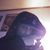 Ritchie On-key Granado's profile image