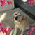 Dave Eavey's profile image
