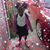 Joann Michelle Garrett's profile image