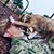 Jeremiah Edward Hays I's profile image