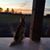 Jen Siefker-Howe's profile image