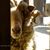 Robin Kelley's profile image