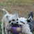 Arleen Hager's profile image