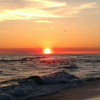 Jennifer Falk Garrett's profile image