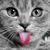 Salgado Sonia's profile image