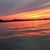 Shannon Farwick Doehling's profile image