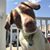 Natasha Ewen Reichel's profile image