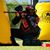 Omar Salas's profile image