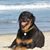 Linda Jones Ables's profile image