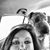 Rebecca Sutphin Harrison's profile image