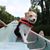 Mitzi Frank's profile image