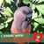 Karen McCarthy's profile image