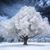 Donna Pritchett's profile image