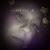 Michelle Keely's profile image