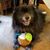 Peggy Vopat's profile image