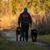Cindy Ann McManus's profile image