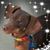 Tami Carroll's profile image