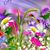 Jacqueline Callatone Maneri's profile image