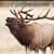 Jim Batson's profile image
