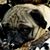 Kristen Allen's profile image