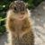 Kevin Kalitowski's profile image