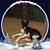 Jane Williams's profile image
