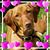 Adriana Urbanczyk's profile image