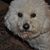 Bill Williams's profile image