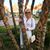 Marina Yakimova's profile image