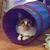 Diane Green's profile image