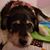 Angela Buzen's profile image