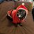 Tina Borchardt's profile image