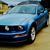 Marlena Clough's profile image