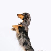 Harriette Wock's profile image