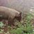 Candy Tingey's profile image