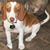 Evleta Gruber's profile image
