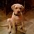 Bob Ostrosky's profile image