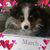 Shirleyj Metros's profile image