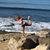 Sue Gervase's profile image