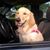Patty Casky Rink's profile image
