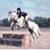 Courtney Collison's profile image